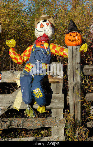 Visto sul lato della strada; la strawman del Wizard of Oz dovrebbe guardare questa buona Foto Stock