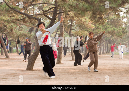 Taichi nel Parco Tiantan, Pechino Foto Stock