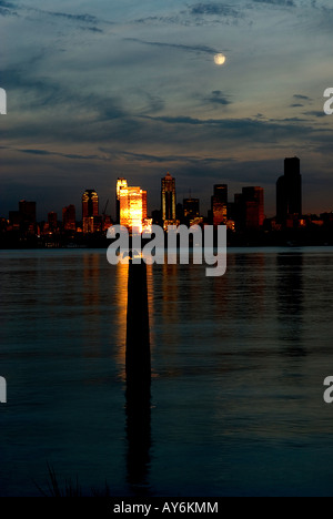 Un uccello drys le sue ali su un impilamento nel tramonto riflesso da un Seattle Washington USA grattacielo come la luna piena sorge Foto Stock