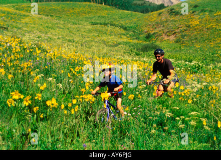Un padre e il suo figlio di 7 anni ride mountain bike su un sentiero attraverso un prato pieno di fiori di montagna Foto Stock