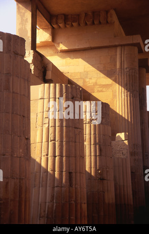 Djoser il complesso funerario di Zoser Saqqara Saqqara Saqqarah Cairo Repubblica Araba di Egitto Egyptian Nord Africa Medio Oriente Foto Stock