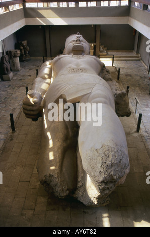 Statua colossale di Ramses II Memphis Cairo Repubblica Araba di Egitto Egyptian Nord Africa Medio Oriente Foto Stock