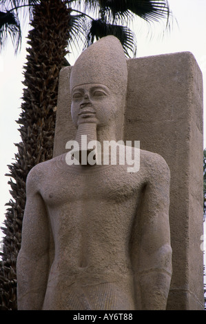 Statua di Ramses II Memphis Cairo Repubblica Araba di Egitto Egyptian Nord Africa Medio Oriente Foto Stock