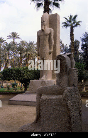 Statua di Ramses II Memphis Cairo Repubblica Araba di Egitto Egyptian Nord Africa Medio Oriente Foto Stock