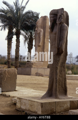 Statua di Ramses II Memphis Cairo Repubblica Araba di Egitto Egyptian Nord Africa Medio Oriente Foto Stock