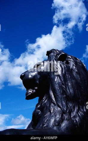 Dettaglio della statua di Lion a Trafalgar Square Londra contro un cielo blu Foto Stock