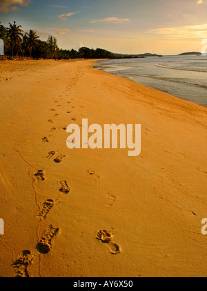 Impronte sulla spiaggia dorata di Koh Samui Thailandia Foto Stock