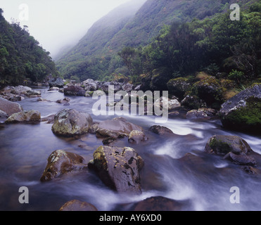 Stony River Egmont Parco Nazionale Isola del nord della Nuova Zelanda Foto Stock