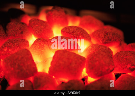 Carboni Ardenti sul fuoco bbq Foto Stock