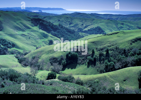 Aprire sottosviluppato terreni vicino Morrow Bay lungo la California costa del Pacifico Foto Stock