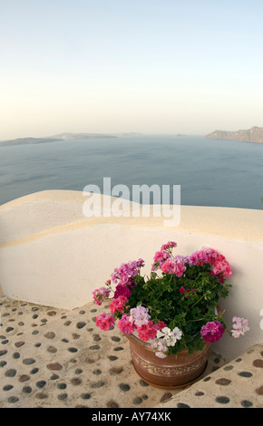 Incredibile vista di Santorini con fiori sulla scalinata sul mare Foto Stock