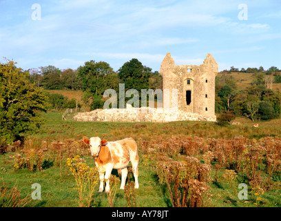 Il castello di Monea vicino a Enniskillen County Fermanagh, Irlanda. Uno dei più grandi e meglio conservate dell'Ulster Plantation case. Foto Stock