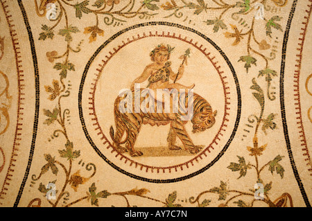 Mosaico di bambino Dioniso cavalcare la tigre, Museo Archeologico, El Jem, Tunisia Foto Stock