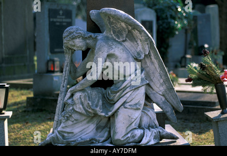 Il cimitero centrale di Vienna figura di angelo Foto Stock