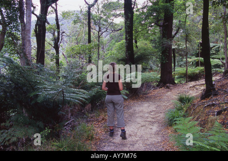 Walker sulla Queen Charlotte Track Isola del Sud della Nuova Zelanda Foto Stock