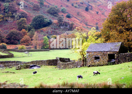 Edificio in pietra a secco e muro di pietra, Lake District, Cumbria Foto Stock