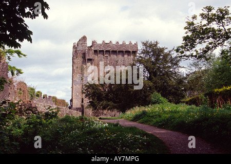 Contea di Cork in Irlanda Blarney Castle attrazione Foto Stock