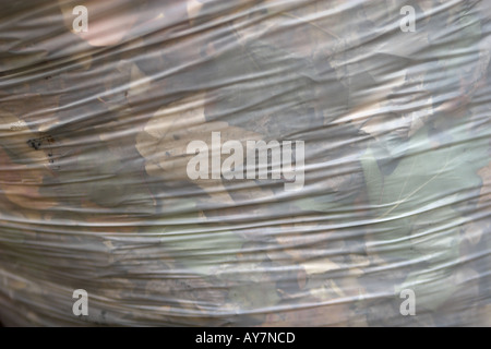Busta di plastica piena di foglie cadute, durante l'autunno Foto Stock