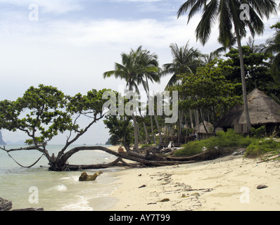 Amaca palme e resort sulla spiaggia Ko Ngai isola della Thailandia Foto Stock