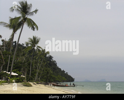 Local longtail boat a tranquilla rivestito di Palm Beach Ko Ngai isola della Thailandia Foto Stock