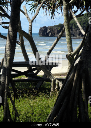 Tavolo da picnic tra le mangrovie a Ao Pante Malacca sulla Ko Tarutao island Thailandia Foto Stock