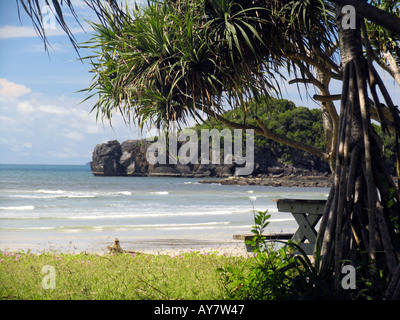 Tavolo da picnic da mangrovie a Ao Pante Malacca sulla Ko Tarutao island Thailandia Foto Stock