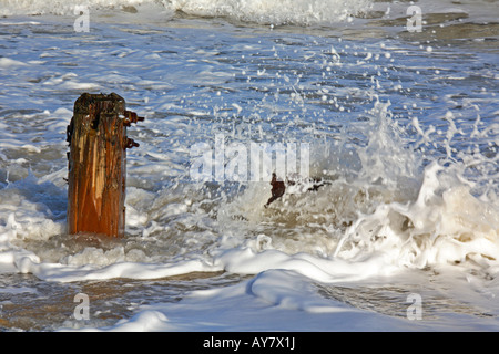 Sea Spray contro i resti della vecchia mare difese a Happisburgh. Foto Stock