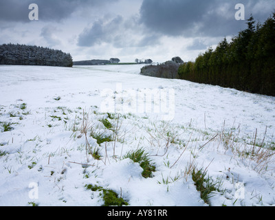 Neve a Cheesefoot testa nel South Downs Hampshire REGNO UNITO Foto Stock