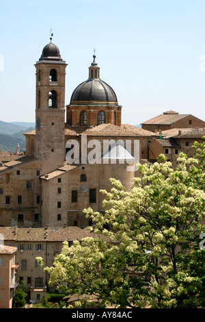 Il molto visitato Palazzo Ducale di Urbino nelle Marche Marche Italia Foto Stock