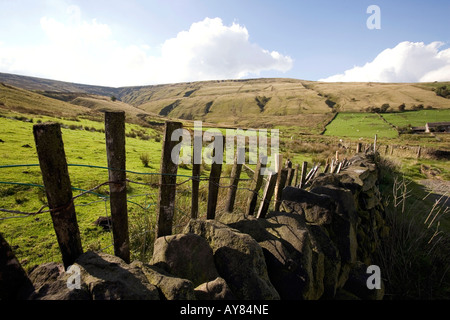 Regno Unito Yorkshire Holmfirth Lane stalattite muro di recinzione e contenente il pascolo ovino a margine di Holme Moss Moor Foto Stock