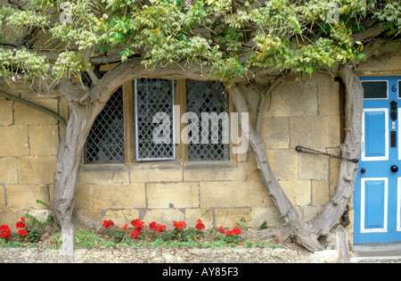 Finestra di glicine a Broadway ,i Cotswolds ,England Regno Unito Foto Stock