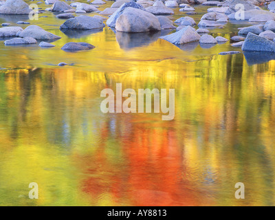 Massi e autunno riflessioni nel fiume Swift Albany coperto zona ponte Kancamagus Highway White Mountain National Forest NH Foto Stock