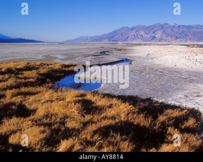 Calzini sporchi molla Owens Valley Sierra orientale California USA Foto Stock