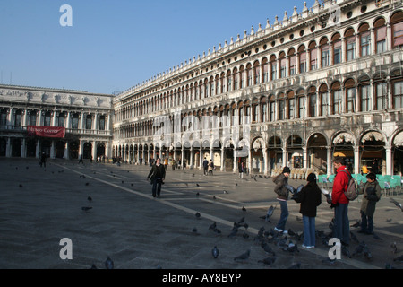 Alimentazione turistico Piccioni a San Marco, Venezia, Italia Foto Stock