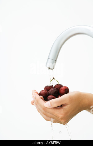 Risciacquo donna manciata di ciliegie sotto il rubinetto, vista ritagliata delle mani Foto Stock