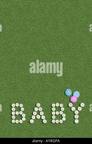 Baby scritto con fiori sillabato Foto Stock