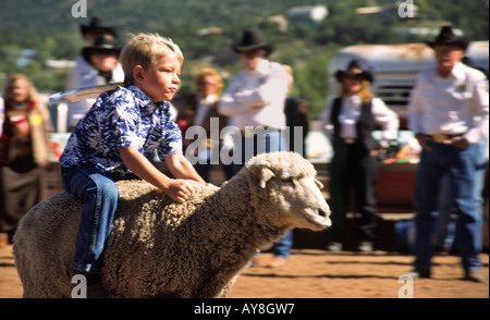 Facendo un giro alla pecora-concorso di equitazione, presso il Lincoln County Cowboy simposio, in Ruidoso Downs, Nuovo Messico. Foto Stock