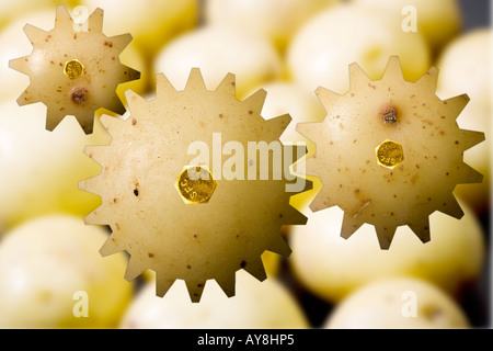 Produzione concettuale di patate Foto Stock