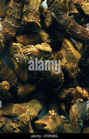 Radici di ginseng, extreme close-up, frame completo Foto Stock