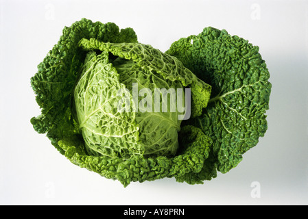 Cavolo verza, close-up, visto da direttamente in testa Foto Stock