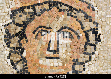 Le Fatiche di Ercole pavimento a mosaico in le rovine di una città romana di Volubilis, Marocco Foto Stock