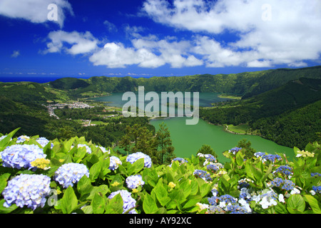 Sete Cidades cratere e i laghi Gemelli, con ortensie in primo piano. Isole Azzorre, Portogallo. Foto Stock