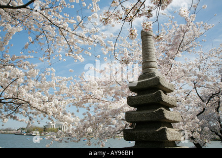 Monumento giapponese, la fioritura dei ciliegi, Tidal Basin, Jefferson Memorial, Washington DC, Stati Uniti d'America Foto Stock