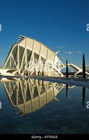 Spagna Valencia Provincia Valencia La Cuidad de las Artes y las Ciencias Museo de las Ciencias Foto Stock