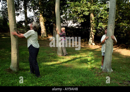 Tree huggers, Pebmarsh, Essex, Regno Unito. Foto Stock