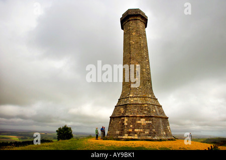 La Thomas Hardy's Monument in Dorset Inghilterra Foto Stock