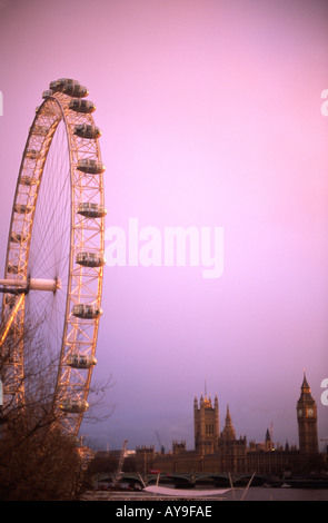 Sunset gettato sul London Eye England Regno Unito Foto Stock