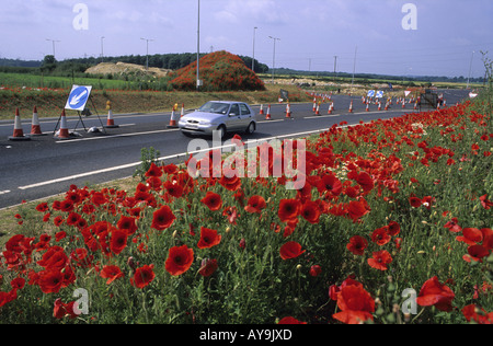 Auto passando attraverso lavori stradali circondato da poppys crescente nella terra disturbato leeds Yorkshire Regno Unito Foto Stock