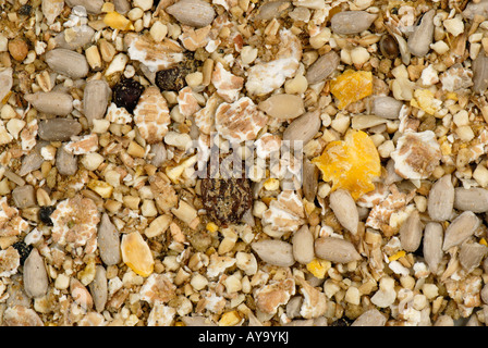 Wild Bird alimentazione per gli alimentatori di giardino con pinoli schiacciati i grani di cereali e semi vari Foto Stock