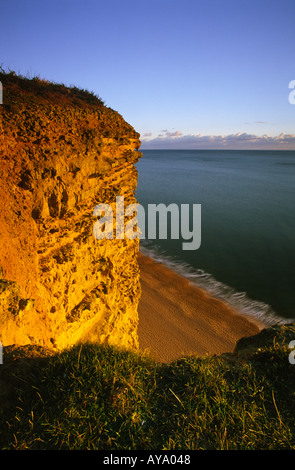 Tramonto sulla scogliera costiera il viso a West Bay nella contea di Dorset England Regno Unito Foto Stock